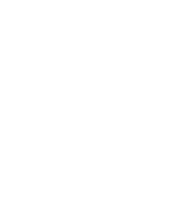 Realtor